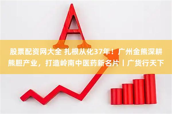 股票配资网大全 扎根从化37年！广州金熊深耕熊胆产业，打造岭南中医药新名片丨广货行天下